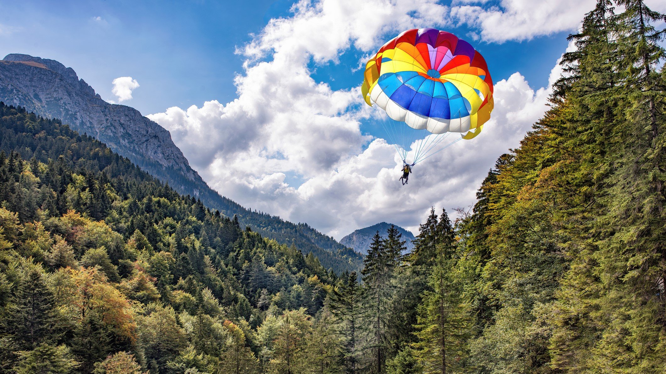 chutes-&-ladders—takeda-taps-longtime-lilly-exec-as-us-head