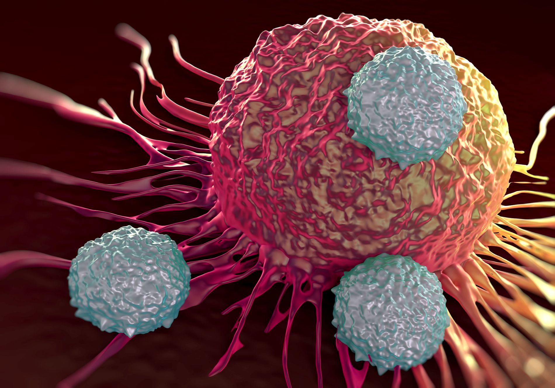 immunotherapy-developer-expands-beyond-myeloid-cells-and-cancer