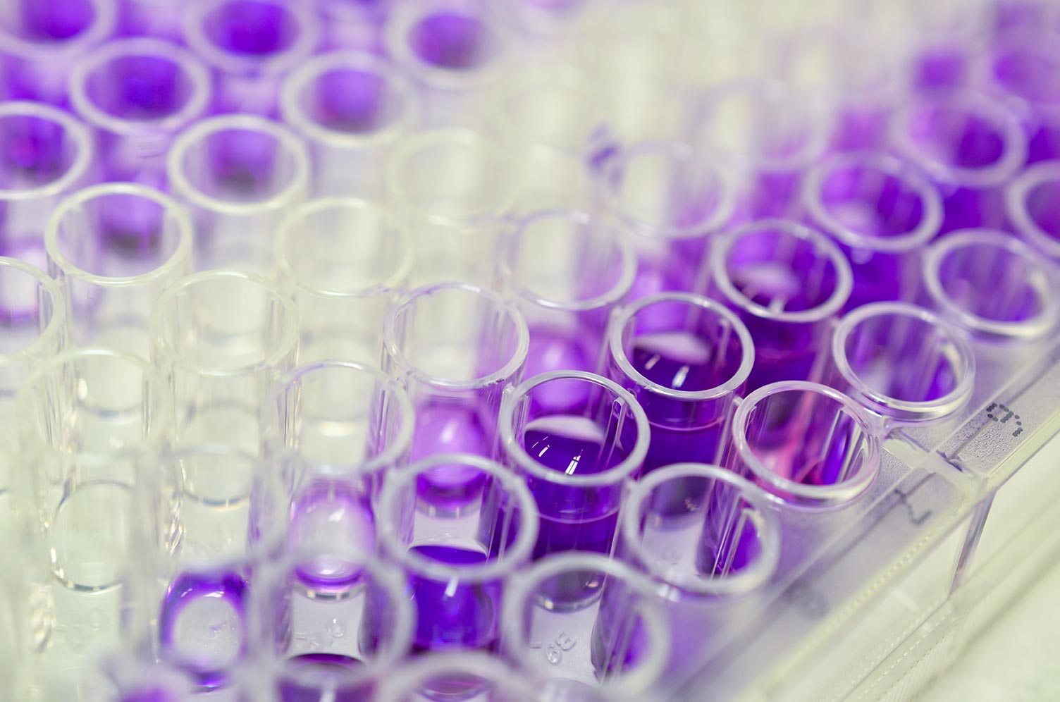 efficiency,-sustainability-drive-thermo-fisher’s-new-microarray-data-analysis-solution