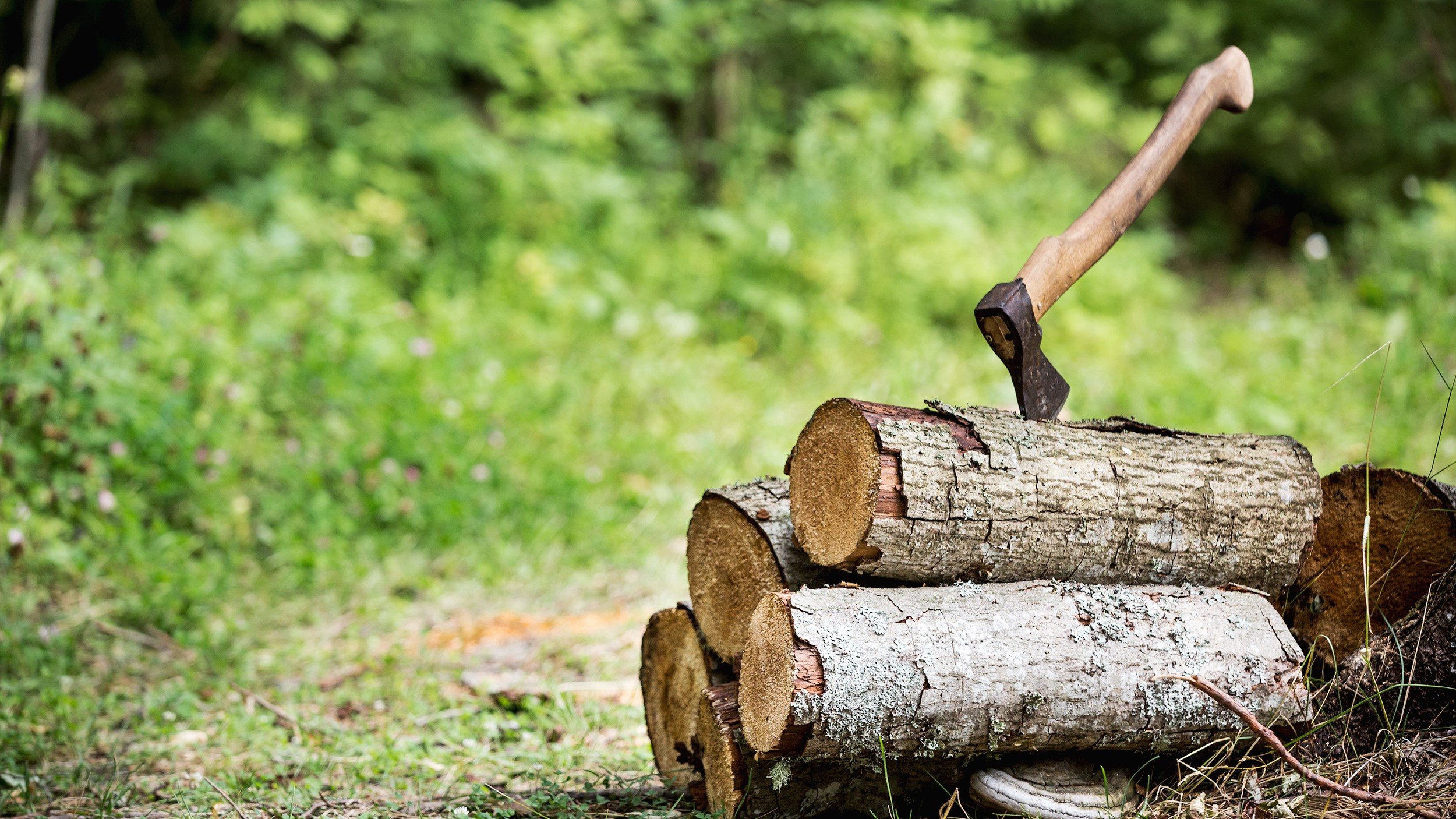 roche-axes-4-chugai-solid-tumor-assets-in-early-phase-clear-out