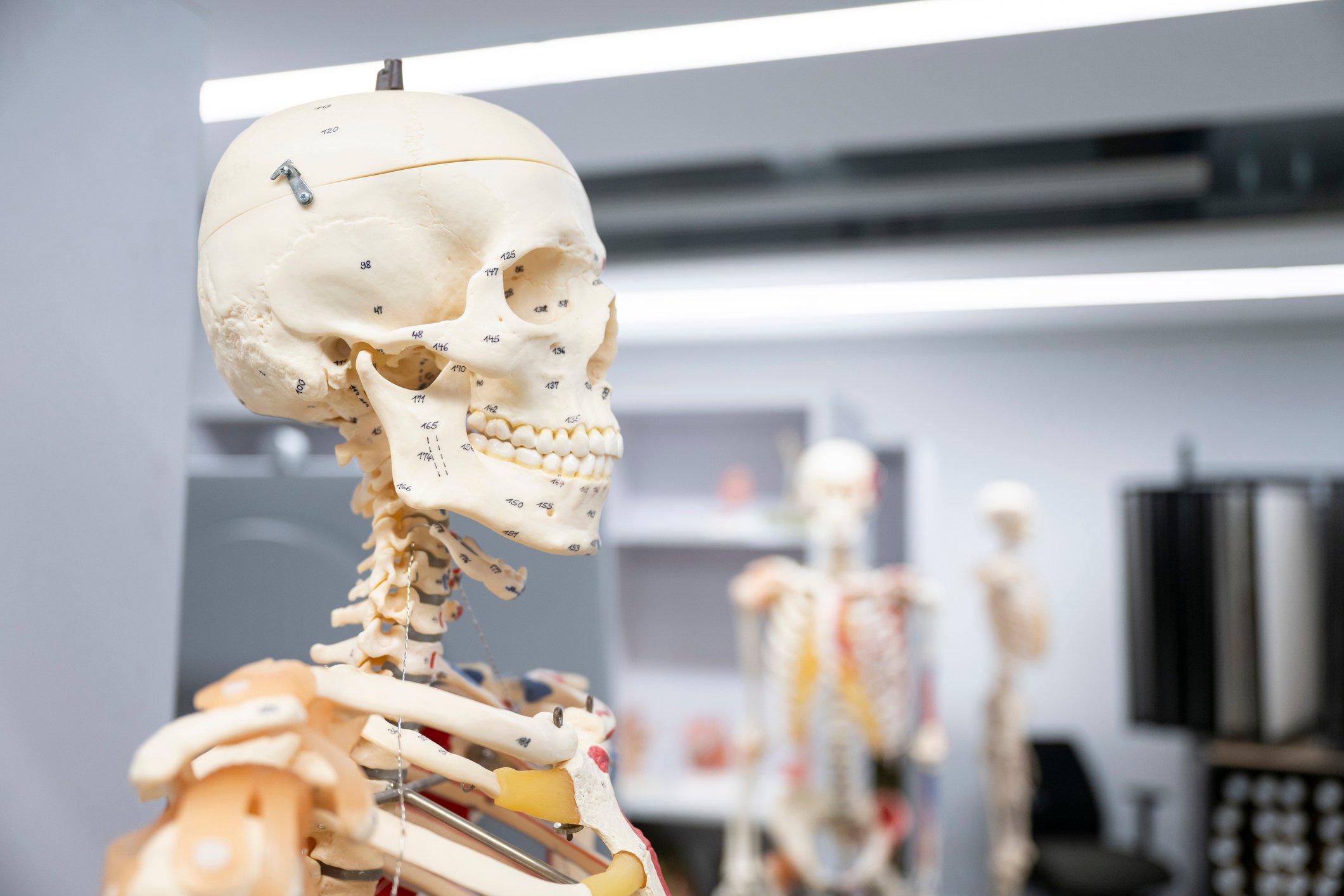 inhibrx-eyes-fda-submission-after-phase-2-rare-bone-cancer-win