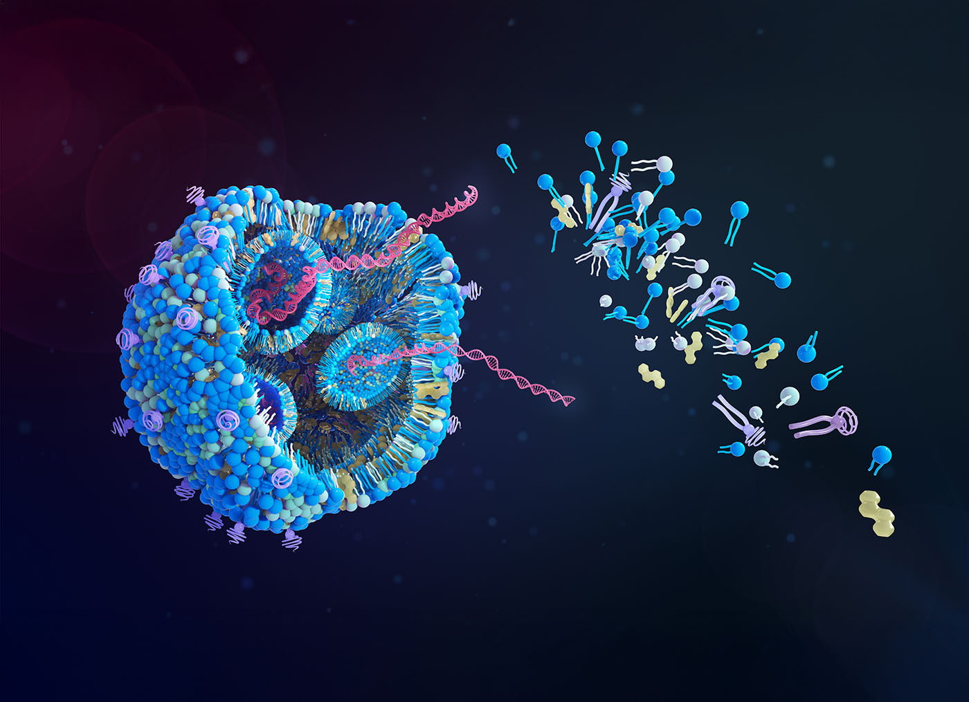 insights-into-lipid-nanoparticle-structures-could-pave-the-way-to-more-targeted-therapeutics