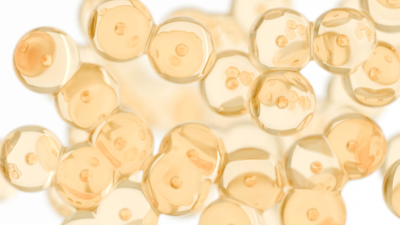 obesity-and-fat-metabolism:-a-new-role-for-nuclear-hsl