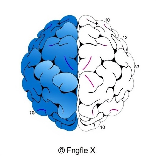 iq-estimates-in-fragile-x:-abbreviated-vs.-full-scale