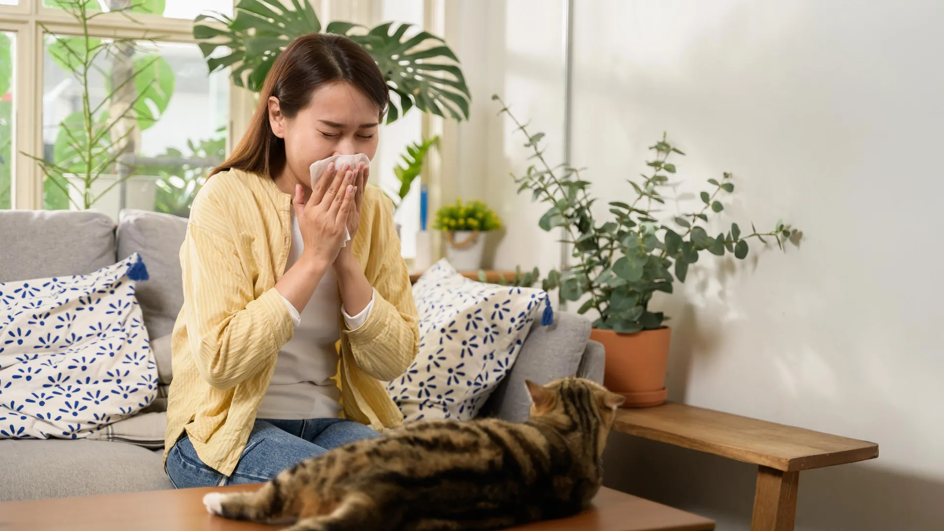 sneezing-from-cats-or-dust?-safe-uv-light-may-neutralize-allergens-in-minutes