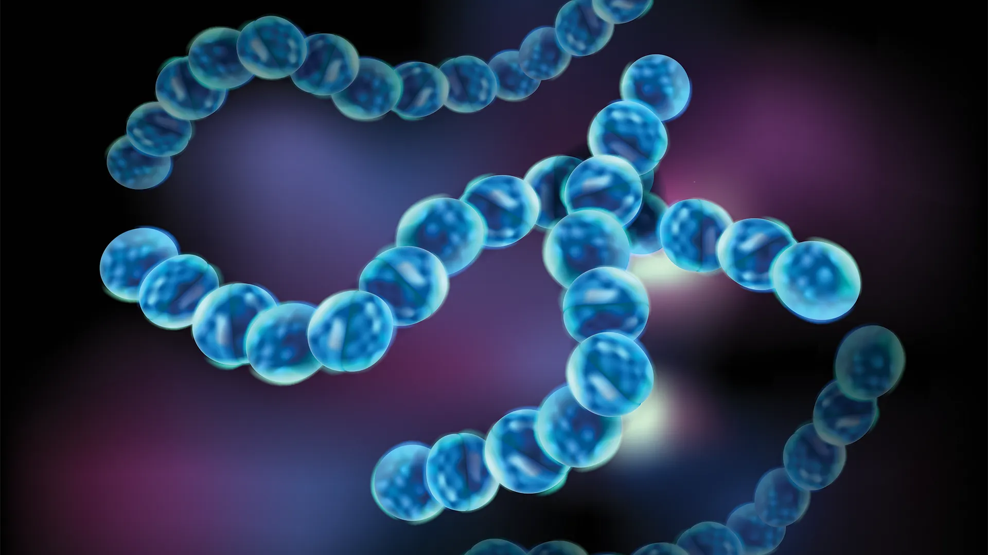 insect-protein-blocks-bacterial-infection