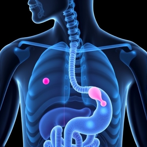 halp-score-predicts-digestive-cancer-outcomes