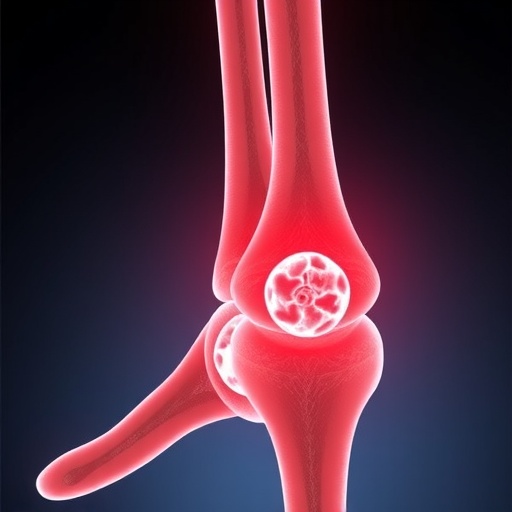 breakthrough-in-bone-regeneration:-stem-cells-from-fat-tissue-pave-the-way