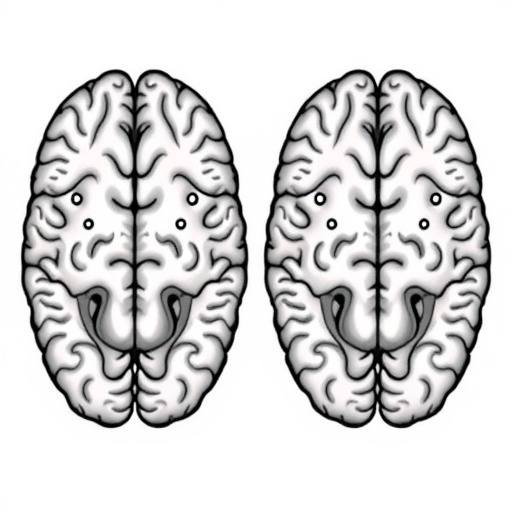 sex-differences-in-medial-prefrontal-cortex-noradrenergic-control