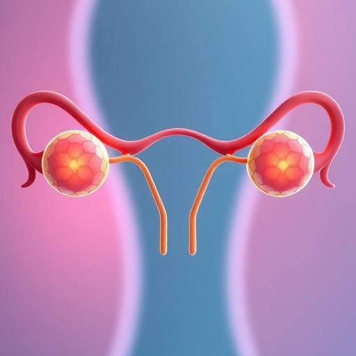 new-strategies-for-creating-premature-ovarian-failure-models