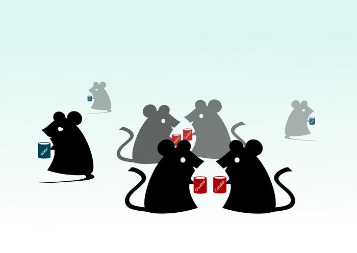 autism-linked-behaviors-in-mice-reduced-by-nutrient-trio