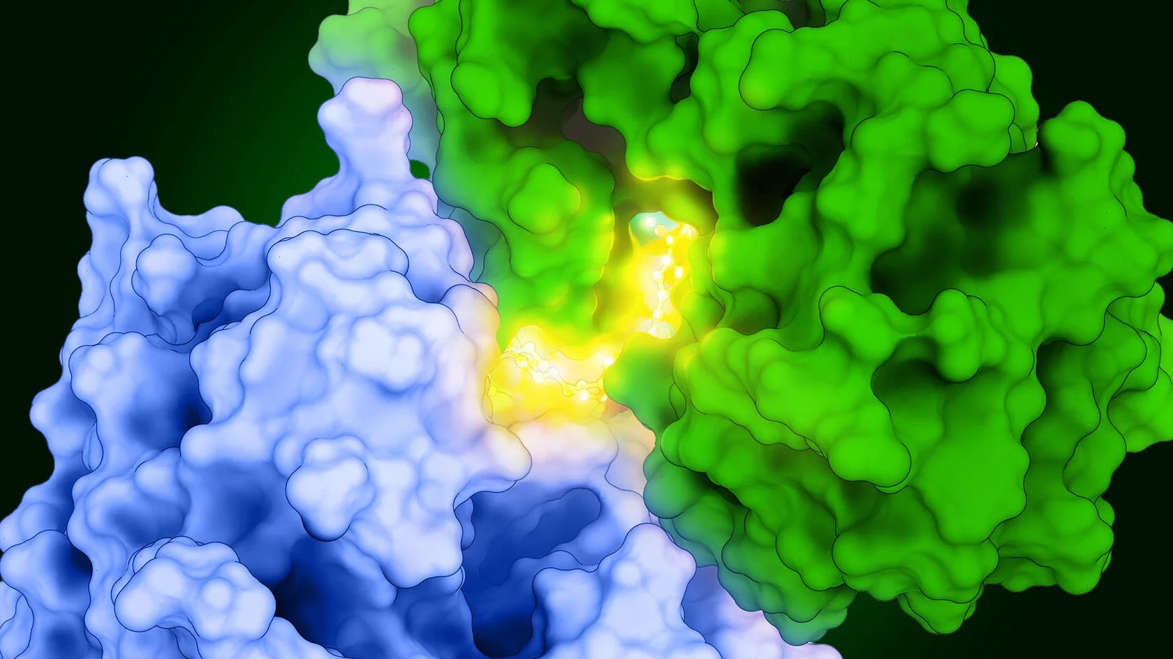 insilico-details-ai-designed,-cancer-fighting-protac-targeting-pkmyt1