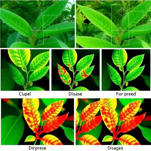 smart-cnn-transformer-model-for-tea-leaf-disease-detection