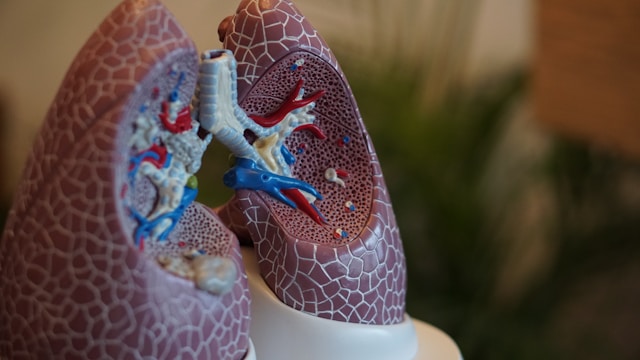 lung-microbial-communities-may-influence-pneumonia-recovery